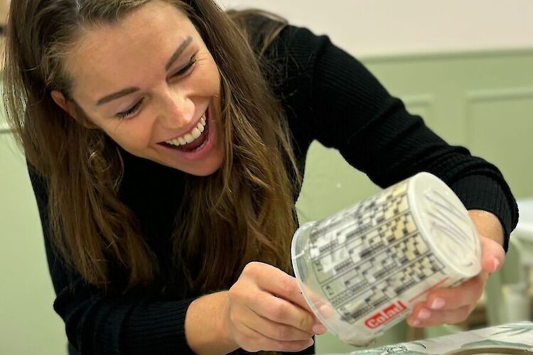 Dagje Volendam afbeeldingen